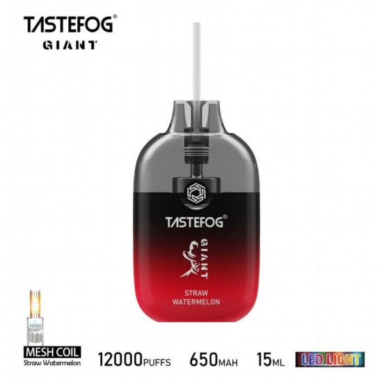 2024 Best Vape Pen Wholesale Evappe Tastefog Giant 12000