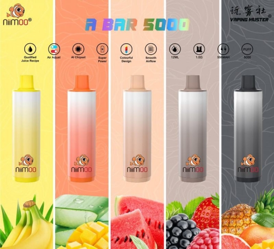 Hot Selling Niimoo Disposable Vape Ndad 5000 Puffs