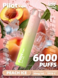 zbood Pilot Max Pro 6000 Vape