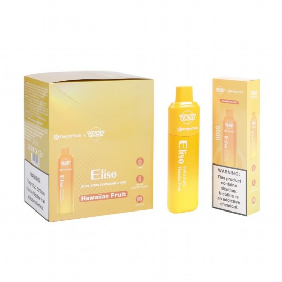 Authentic Vasy elise Elise Bc 5000 Puffs Vape All Flavors