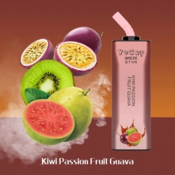 Breze Puff 8000 Puffs Electronic Cigarette