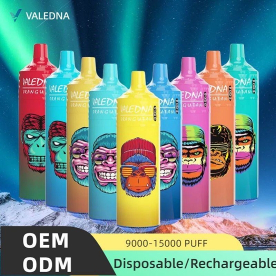 VALEDNA Wholesale Disposable Vape 055 9000 Puffs