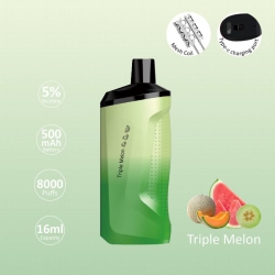 FV Disposable Vape Fog Wp8000 Brands