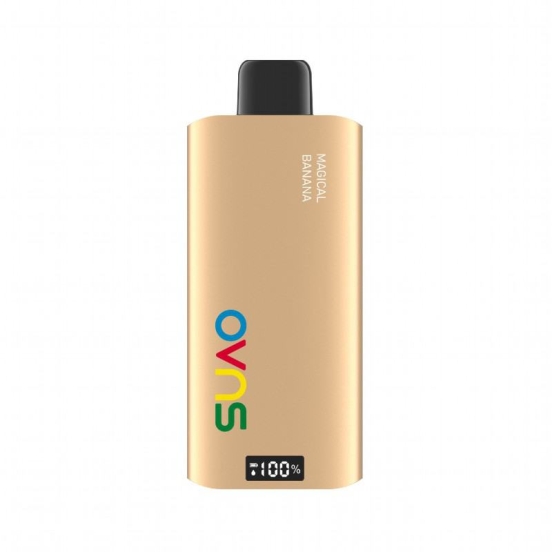 Customizable OVNS 648 6000 Puffs Big Hit Disposable Vape