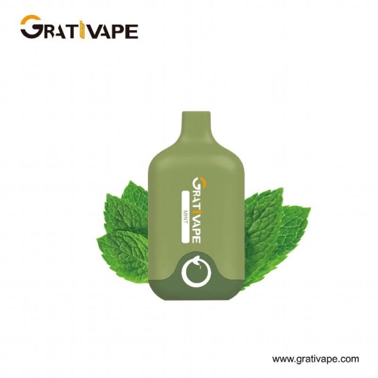 2024 Bulk Price Grati Pen & Grab 6000