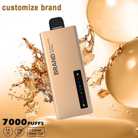 Top Selling Smok X50 Wholesale Disposable Vape