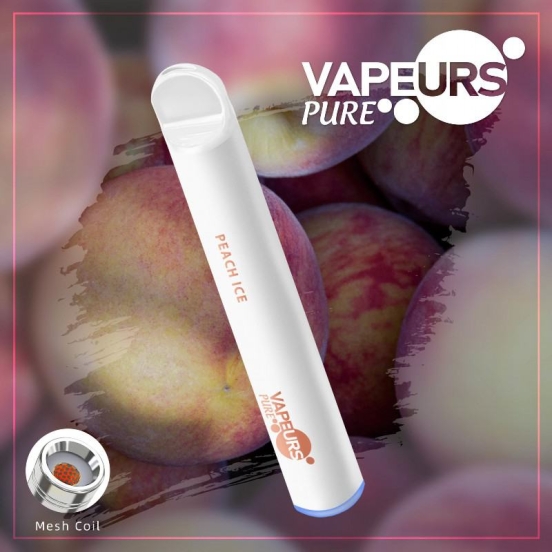 Hot Sale Disposable urs E-cigarette Urs Pure About 600 Puffs Nicotine