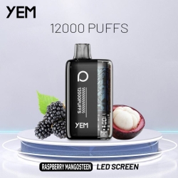 YEM Bm12s-30bs 12000 Puffs Disposables Vape