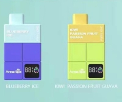 Disposable zbood Anna 10000 Mechanicalmodsmechanicalmodsmetarmexicanmic Puffs Vape Bar