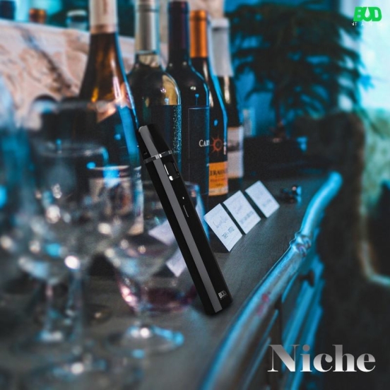 Wholesale Disposable B-BOX Budtank Empty 1.0ml Niche Vape Pens