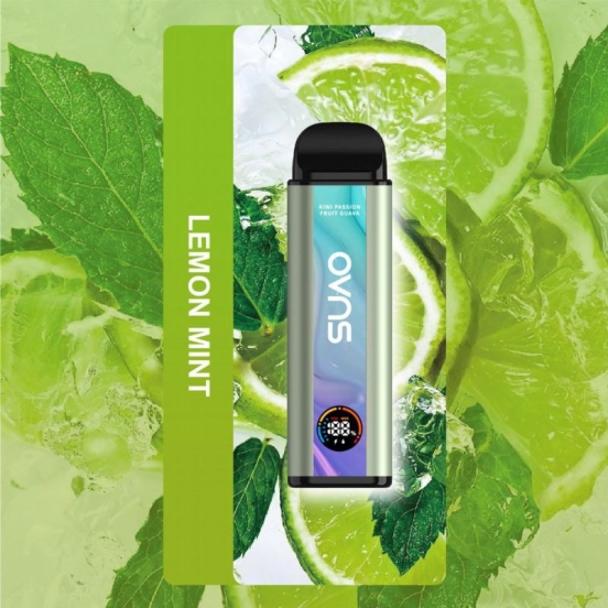 Wholesale Price OVNS Ovns Zephyr 845 16000 Puffs Disposable Vape