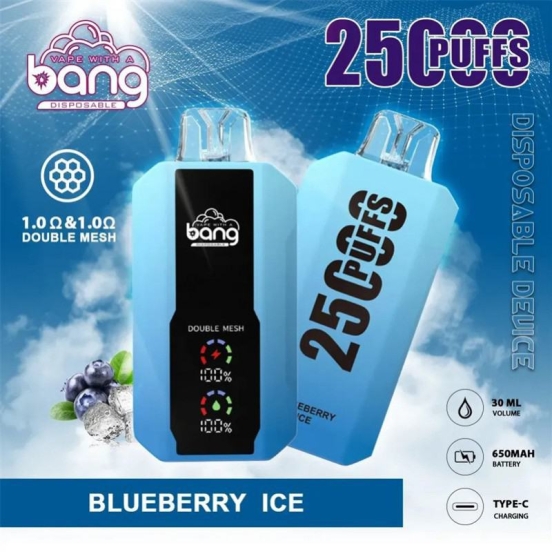 Premium Vape Pen Vapes Wholesale Bang 25000 Puffs