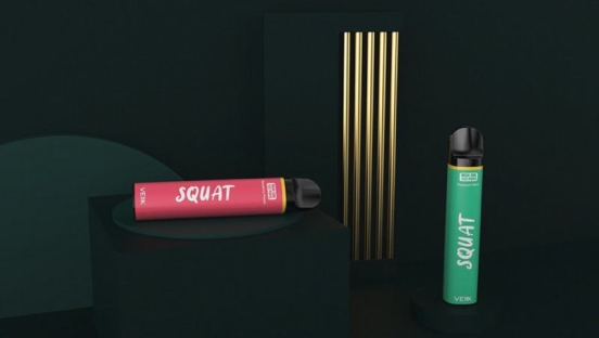 Disposable Vape Veiik Squat Mesh Wholesale