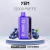 YEM Disposable Vape Pens Bm12s-24