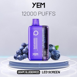 YEM Disposable Vape Pens Bm12s-24