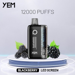 YEM Pen Bm12s-25bs 12000 Puffs Disposable Vape