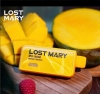 Lost Disposable Vape Brands Maryy 10000 10k 1500015k Puffs