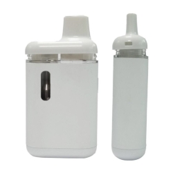 Disposable OEM Vape Pens