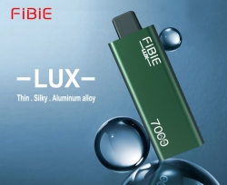 FiBie Neo 15000 Vape