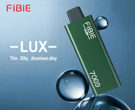2024 Bulk Price FiBie Neo 15000 Vape Pen 