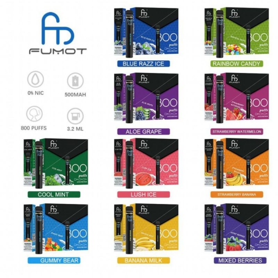 top-notch vaping disposable Randm plus 800 puffs vape wholesale