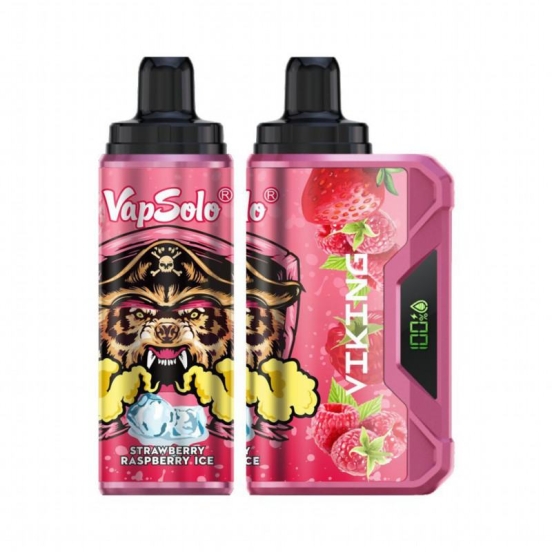Competitive Pricing Vapsolo Puff Vapsple Viking 12k Disposable E Cig 12000 Puffs Disposable E-cigarette