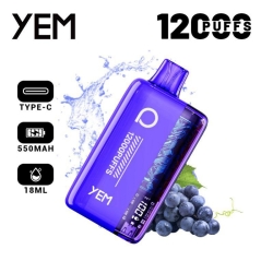 Disposable YEM Vape Bm12s-93tz 12000 Puffs
