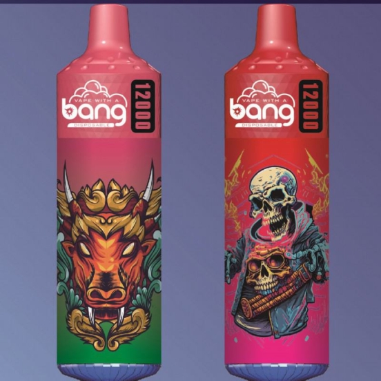 disposable Bang12k