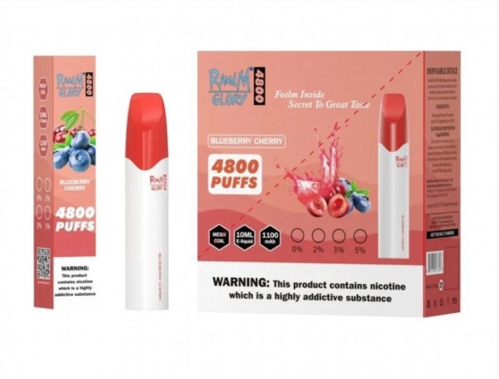 Hot Sale Randm Glory 4800 Vape Bar