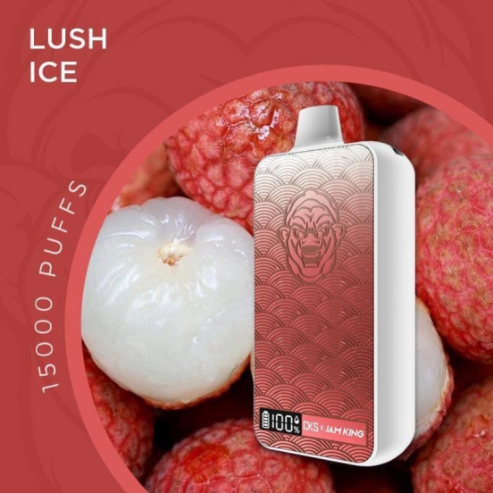 Hot Selling Jam King & CKS Pens Jam King Cks 15000 Puffs Disposable Vape