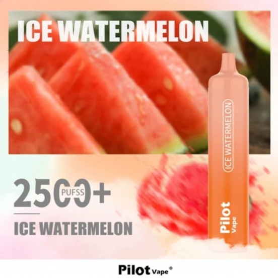 Best Vape Wholesale Disposable Pilot 2500 Vape Pens