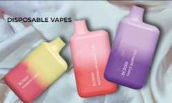Disposable AVP Vape 93052001 5000 Puffs