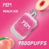 yem Td95-14mini 9500 Puffs Cheap