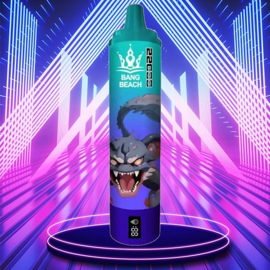 Bang Disposable Vape Beach 22k 22000 Puffs Wholesale