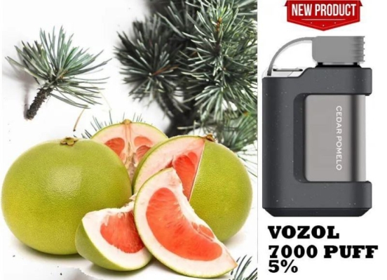 Wide Flavor Selection Big Puff Pens Plus vozlo gear 7000 Vozlo Gear 7000 Puffs Vape