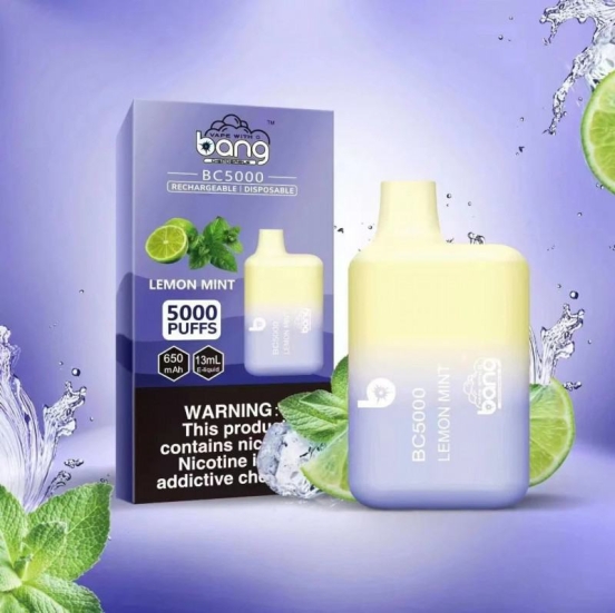 Superior Quality Bang 5000 Puffs Vape Big Puff Pens Plus