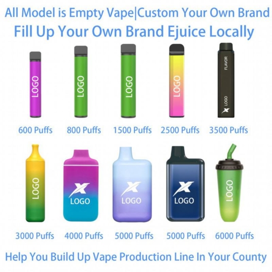 Competitive Pricing OEM ODM Empty Pod 6008001000150030005000 Puffs Vape Bar