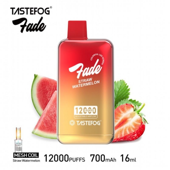 Wholesale Price Disposable Tastefog Fade Vape Pen