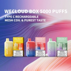 Disposable Pairyosi Vape Py5000 600perdevice Puffs Pens