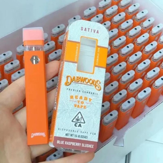 Top-notch Vaping dabwoods Big Puff Bars Plus