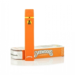  Diaposable Disposable Vape Brands
