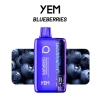 YEM Vape Pen Bm12s-72tz 12000 Puffs