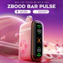 Disposable Vape Brands Baish Zbood Pulse 10k
