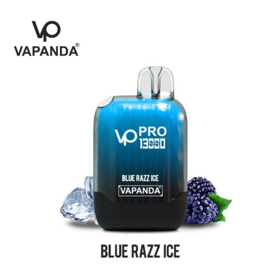 Top Sale VAPANDA Vp Pro 13000