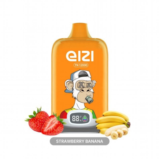 oly Disposable Vape Wholesale Eizi Tn12000