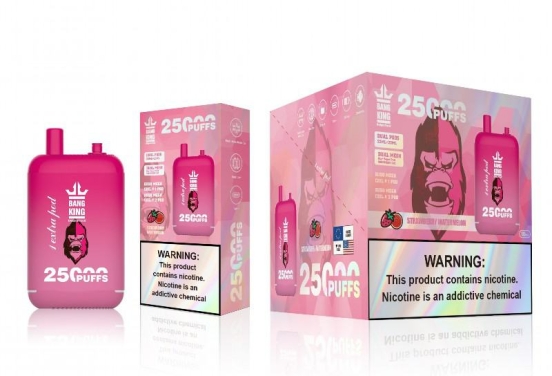 Bulk Price Bang Pen King 25000 Puffs Disposable Vape
