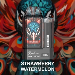 Runfree Rf470 15000 Puffs Electronic Cigarette