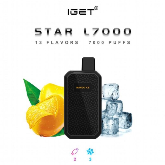 Iget 7000 Puffs Vape Price