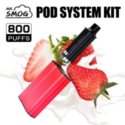 Disposable Vape Bars  800 Puffs