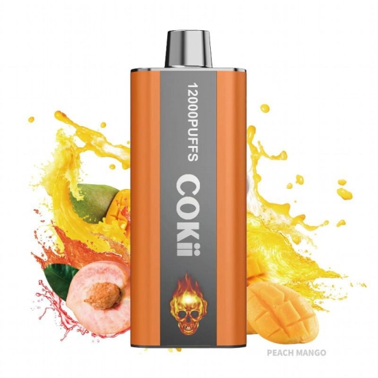Cokii Cokii 12000 6000 Puffs Disposables Vape Wholesale